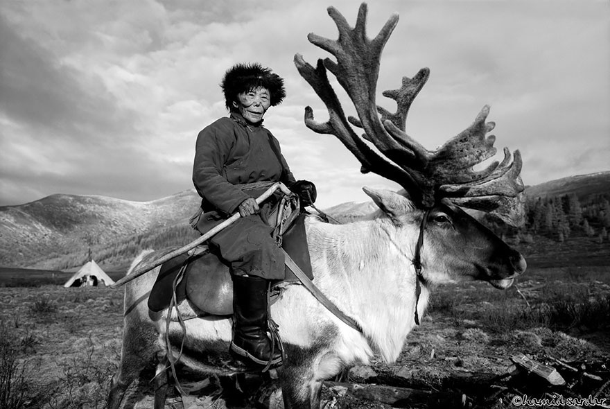 Peuple Mongolie Renne Photographie