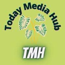 TodayMediaHub