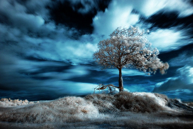 5 Infrared Photography